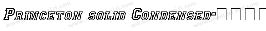 Princeton solid Condensed字体转换